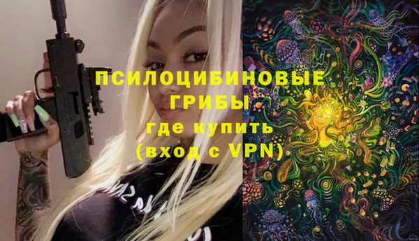 герыч Бронницы
