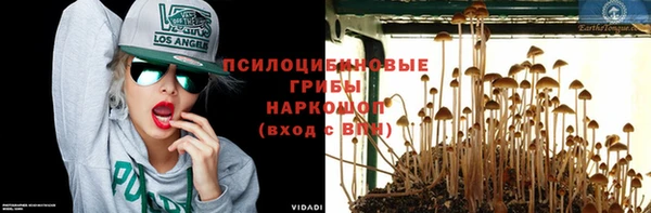 2c-b Бородино